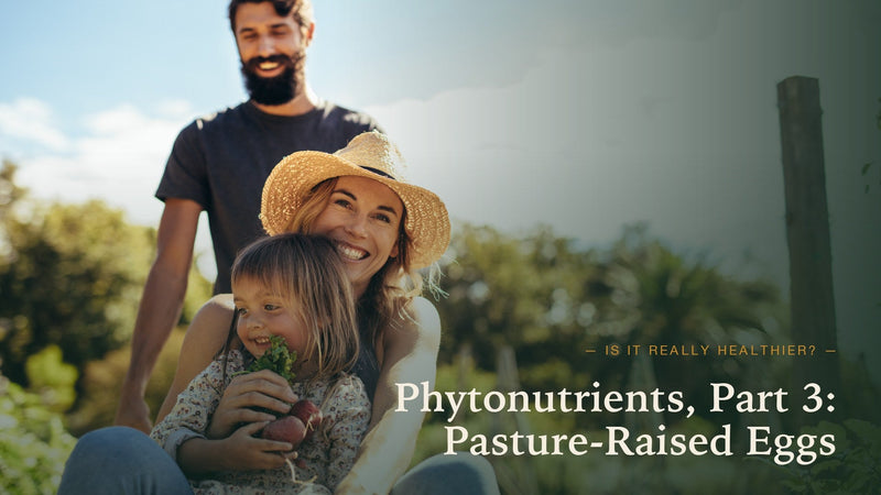 Phytonutrients Part Three: Cracking the Health Benefits of Pasture-Raised Eggs