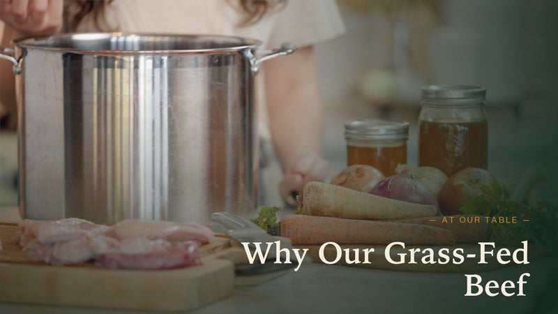 Why Our Grass-Fed Beef — And What It Does for You and the Land