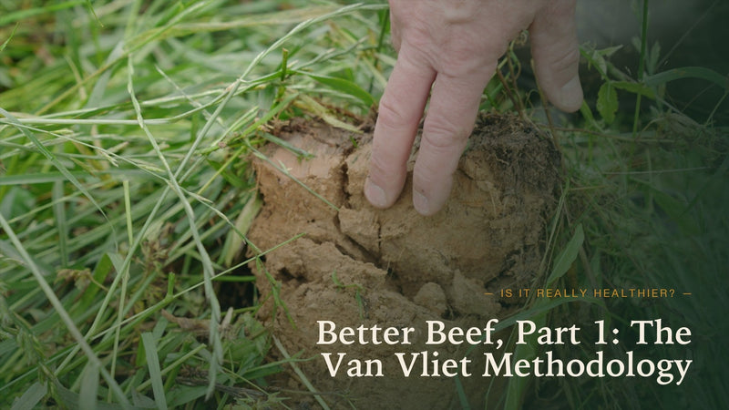 Better Beef, Part 1: Inside the Van Vliet Research Methodology