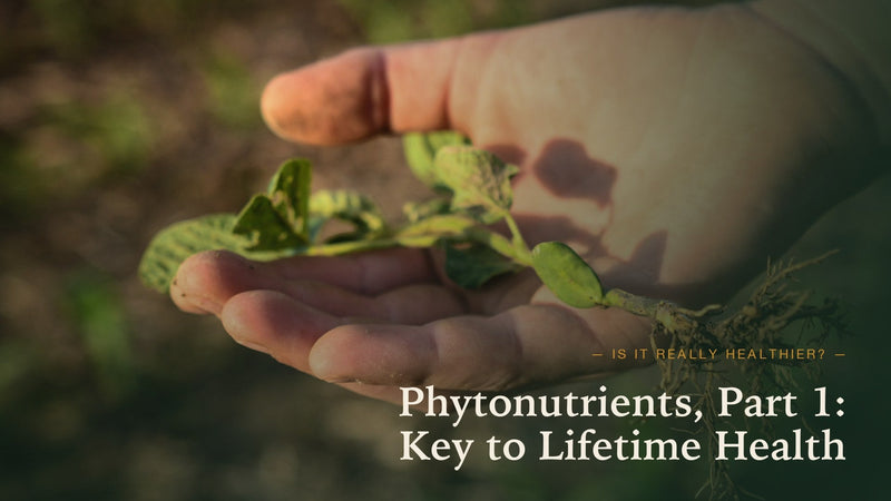 Phytonutrients Part One: The Key to Lifetime Health