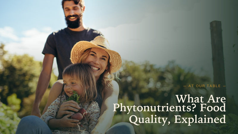 What Are Phytonutrients — And Why Food Quality Depends on Them