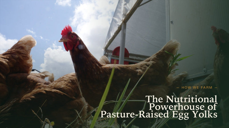 Pasture-raised hens at Etta Hills Farm with mobile coop in the background. Title overlay: The Nutritional Powerhouse of Pasture-Raised Egg Yolks