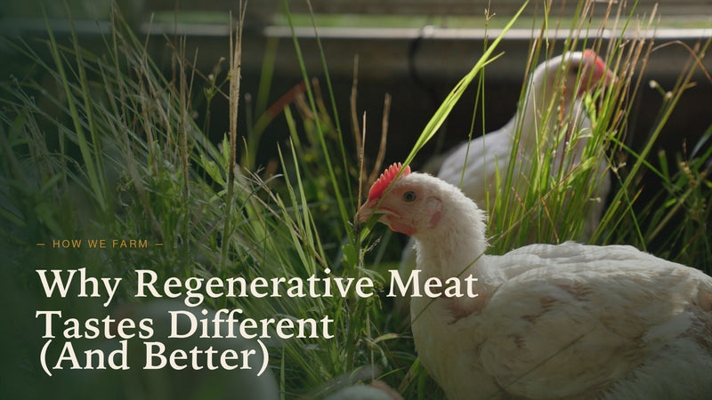 Pasture-raised chickens foraging on fresh grass — Etta Hills Farm. Title overlay: Why Regenerative Meat Tastes Different (And Better)