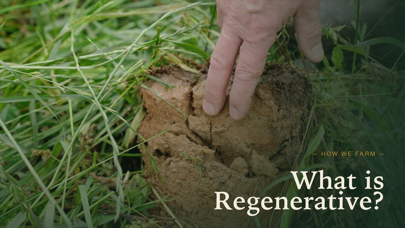 Hand on a clump of soil amid diverse pasture grasses — Etta Hills Farm. Title overlay: What is Regenerative?