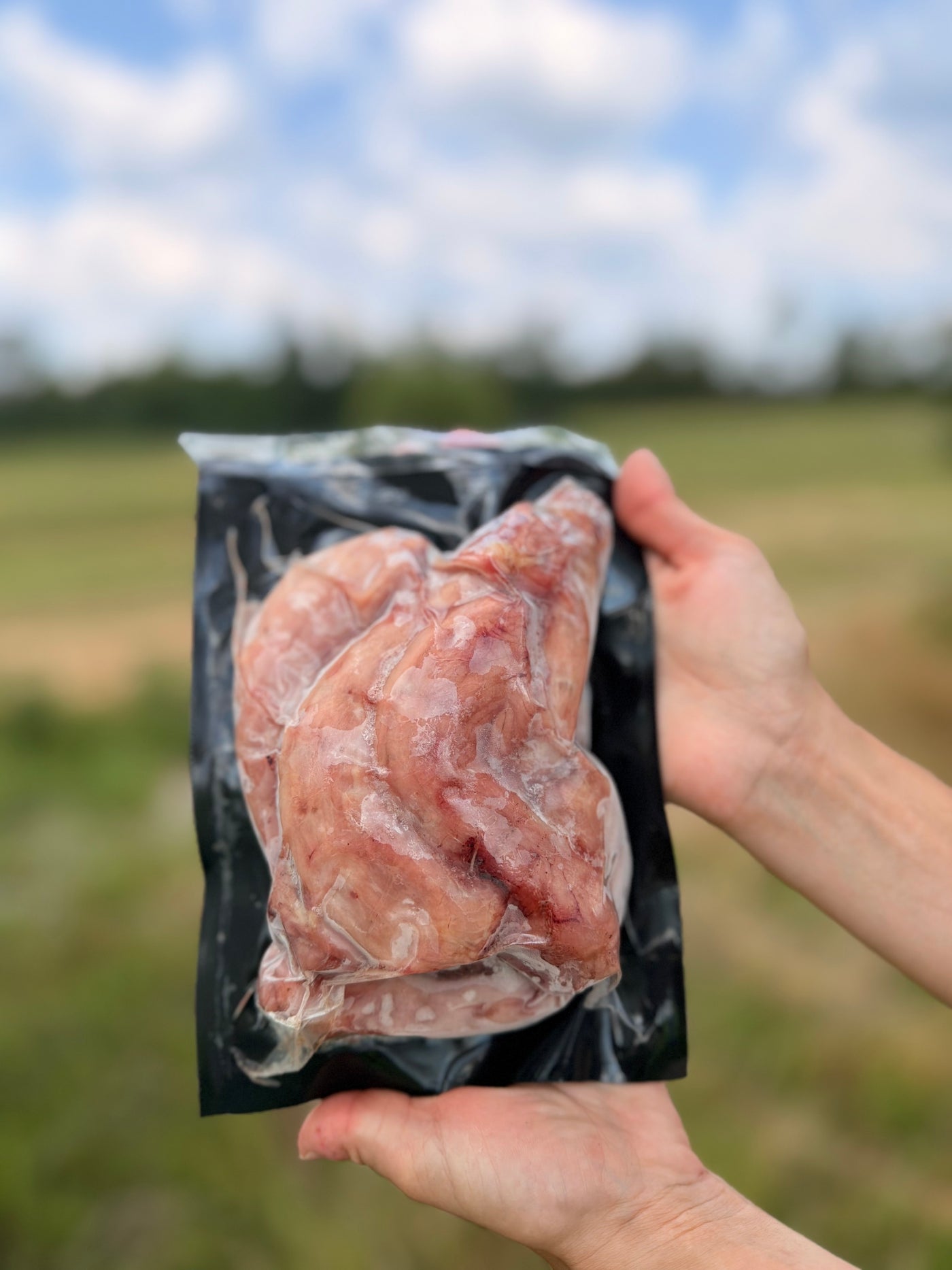 Pasture-Raised Chicken Necks