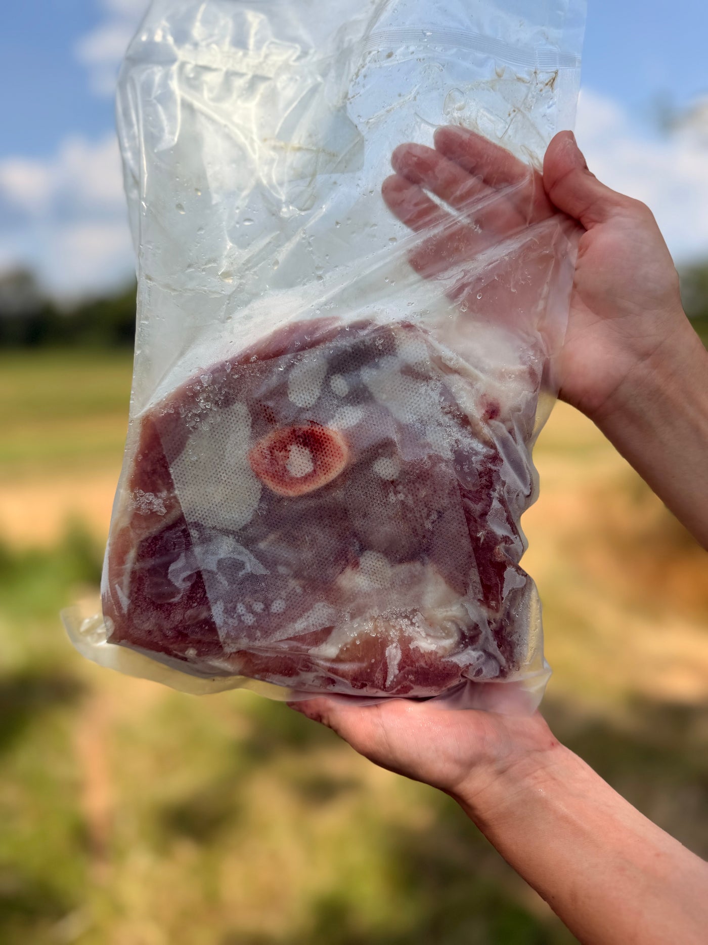 Picnic Roasts